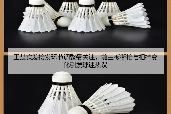 王楚钦发接发环节调整受关注，前三板衔接与相持变化引发球迷热议